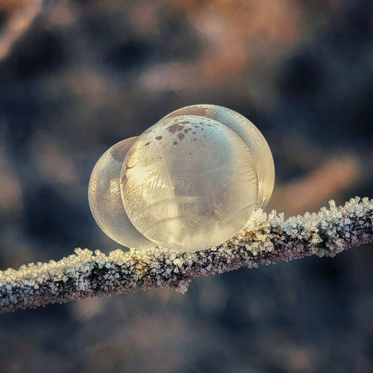 Frozen Tears
